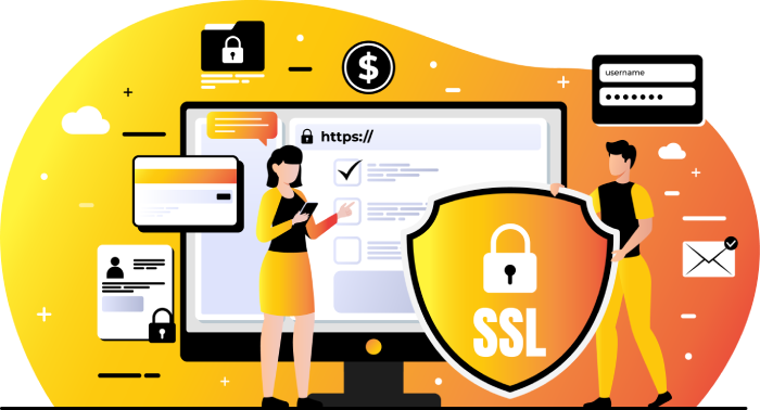 Password management, All Pass Hub